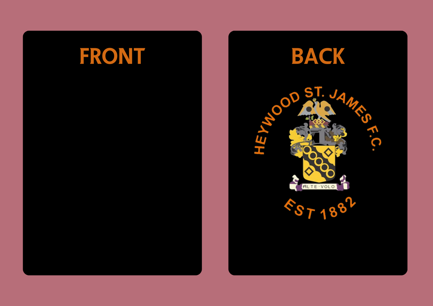 Heywood St James Girls - Bibs